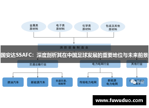 国安达SSAFC：深度剖析其在中国足球发展的重要地位与未来前景